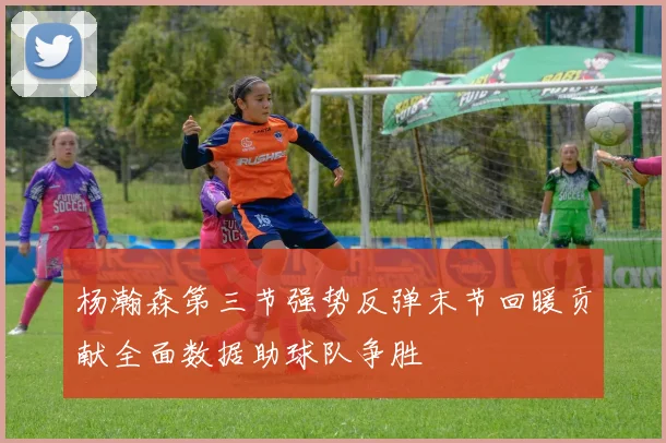 杨瀚森第三节强势反弹末节回暖贡献全面数据助球队争胜